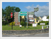 Road Sign jungle - Ring of Kerry